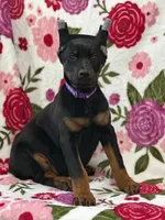 processed/71112d43-dd22-4530-a272-0ae6bb235ffa/listing/367ad2b5-9184-4697-b656-aa6cd8257c22/fcdd911f-80a0-45ee-9c23-1ddc428c922c