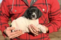 processed/71151fa3-df03-479c-8316-43cbd3d33993/listing/5adfb68c-5dfe-4926-9900-ade0b8f99ab5/32da769f-b6e5-42d2-b089-add294b5376f