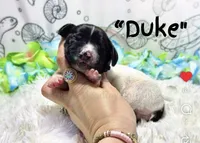 processed/71151fa3-df03-479c-8316-43cbd3d33993/listing/5adfb68c-5dfe-4926-9900-ade0b8f99ab5/4ba1da57-df96-4d99-afc1-d6ad84768bb0