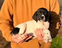 processed/71151fa3-df03-479c-8316-43cbd3d33993/listing/5adfb68c-5dfe-4926-9900-ade0b8f99ab5/ce6f5940-34e9-47b8-b177-8700ed32f69d