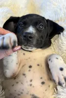 processed/71151fa3-df03-479c-8316-43cbd3d33993/listing/eecab183-f737-4dce-a189-f079fdf05a4d/3c3a1376-0e71-477d-ad6e-0d43aceba6f0