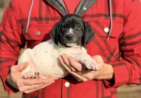 processed/71151fa3-df03-479c-8316-43cbd3d33993/listing/eecab183-f737-4dce-a189-f079fdf05a4d/aed1bc70-381e-4a95-b06d-cece9655b168