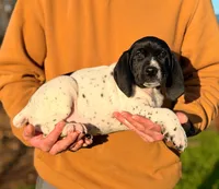 processed/71151fa3-df03-479c-8316-43cbd3d33993/listing/eecab183-f737-4dce-a189-f079fdf05a4d/d29e5d26-4f02-4c49-aac0-748448d6914d