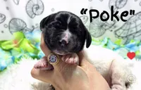 processed/71151fa3-df03-479c-8316-43cbd3d33993/listing/eecab183-f737-4dce-a189-f079fdf05a4d/f56bff77-b0ed-407b-9c8e-46195ed8e4ec