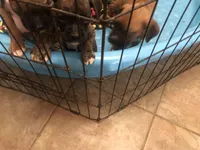 processed/711539e7-e15d-4049-9da9-a34e931e4fd6/facility/3adb4a20-9dff-4caf-a97f-8e44def8d807