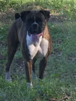 processed/711539e7-e15d-4049-9da9-a34e931e4fd6/facility/530b0350-d60a-480e-b436-fb07e65c2628