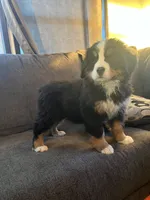 processed/71184ec0-10e3-4175-9243-867fa23be01e/listing/8fc1574e-300c-43b5-bd8c-1782aca2b0bb/02691b46-afd0-4b96-a997-a140b6fe74b0