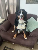 processed/71184ec0-10e3-4175-9243-867fa23be01e/listing/8fc1574e-300c-43b5-bd8c-1782aca2b0bb/88871a71-6f26-492c-a45d-5da002a45375