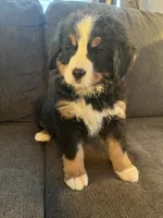 processed/71184ec0-10e3-4175-9243-867fa23be01e/listing/8fc1574e-300c-43b5-bd8c-1782aca2b0bb/88ea274b-44b7-4791-884b-e3688c569a12