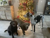 processed/711f74c9-f11c-4724-856f-b9c9f27e827a/facility/54984162-b219-4748-bc02-bfd61b7113fb