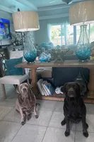 processed/711f74c9-f11c-4724-856f-b9c9f27e827a/facility/557dba0c-1454-40b2-af59-915273c9c9af