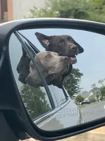 processed/711f74c9-f11c-4724-856f-b9c9f27e827a/facility/7c86b785-ce0e-44ca-a073-91f0eb97feb5