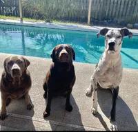 processed/711f74c9-f11c-4724-856f-b9c9f27e827a/facility/bccdc7f1-7f9b-4dc4-a0f4-927bcbe88b44