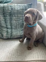 processed/711f74c9-f11c-4724-856f-b9c9f27e827a/facility/cd958272-a2d1-4b1b-a757-6ac6795e65b0