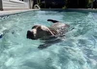 processed/711f74c9-f11c-4724-856f-b9c9f27e827a/facility/d9644e98-fc1f-4c4a-8bdd-81cebff0d88b