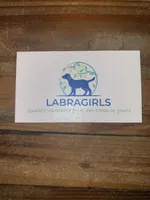 Ferrero, a male Labrador Retriever for sale in Panama City Beach, FL – Photo 10 of 10