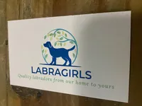 Palladium , a male Labrador Retriever for sale in Panama City Beach, FL – Photo 9 of 9