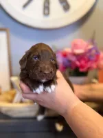 processed/71353459-c6b1-4231-b663-562456e87a6e/listing/3a9cfaa9-d74d-47e1-a692-393e5ceefd8f/b25edc58-91ba-42d4-a56f-8cfe5d88c3bb