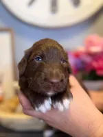 processed/71353459-c6b1-4231-b663-562456e87a6e/listing/3a9cfaa9-d74d-47e1-a692-393e5ceefd8f/b5d5c1bd-20b3-4c14-8628-109a13ece549