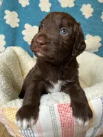 processed/71353459-c6b1-4231-b663-562456e87a6e/listing/3a9cfaa9-d74d-47e1-a692-393e5ceefd8f/fd178a5f-4fa9-4789-9dd2-a3af6090e967