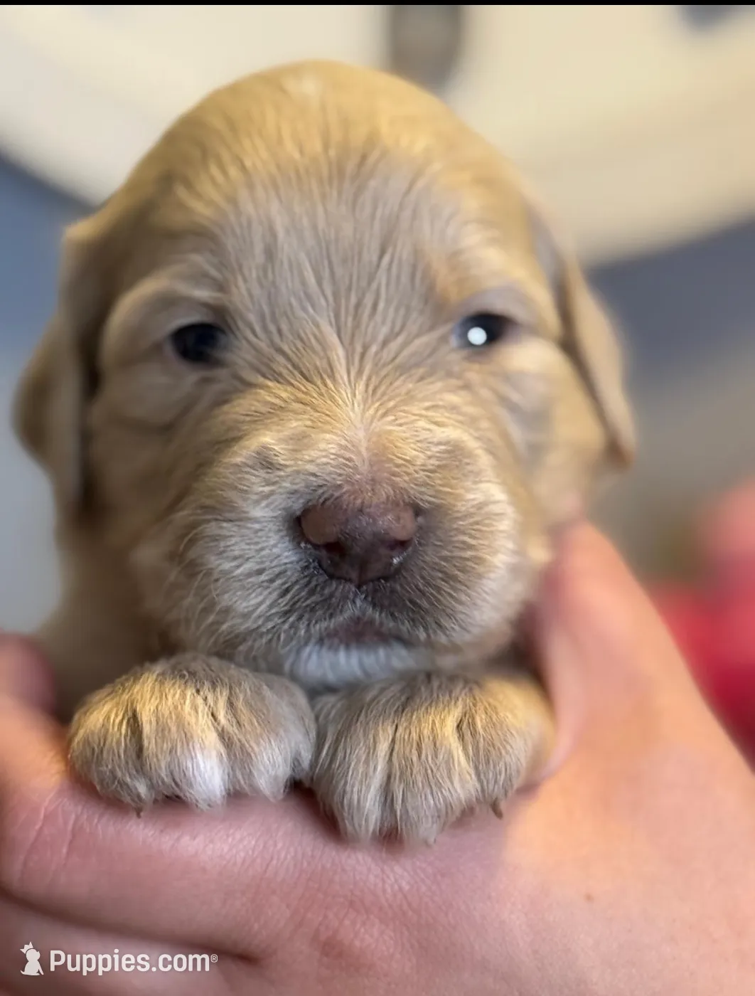 processed/71353459-c6b1-4231-b663-562456e87a6e/listing/5eee8698-a9ed-4052-a421-040c231ec66c/152fbde8-78ba-40f7-a68f-f9175f5f9a14