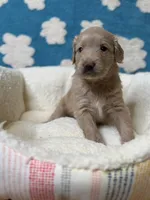 processed/71353459-c6b1-4231-b663-562456e87a6e/listing/5eee8698-a9ed-4052-a421-040c231ec66c/afc8ce70-1c59-4574-a7ba-08716bf71b82