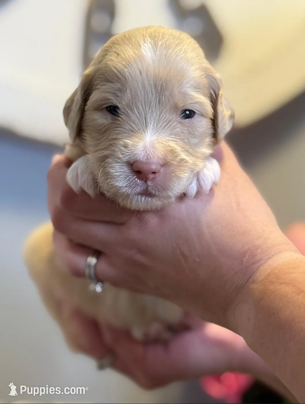 processed/71353459-c6b1-4231-b663-562456e87a6e/listing/6cac3b90-e2ab-40e7-81fe-345a8af5ab41/3f336fd2-e920-41c3-8a35-f8f1291e8867