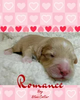 processed/71353459-c6b1-4231-b663-562456e87a6e/listing/6cac3b90-e2ab-40e7-81fe-345a8af5ab41/487adbf5-488b-45f8-ba04-19be90a384d3