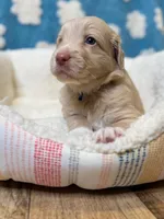 processed/71353459-c6b1-4231-b663-562456e87a6e/listing/6cac3b90-e2ab-40e7-81fe-345a8af5ab41/77a4c20d-436c-4984-8cf0-f8c1d2fc49fc