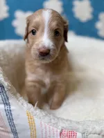 processed/71353459-c6b1-4231-b663-562456e87a6e/listing/7adeacb9-e369-4f44-bdde-253cf480b2c1/32a8dd0e-6e2e-4020-bafb-28e4293018ac