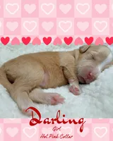 processed/71353459-c6b1-4231-b663-562456e87a6e/listing/7adeacb9-e369-4f44-bdde-253cf480b2c1/a3978535-dbb7-4fcd-a878-d7d7cf9ad5b6