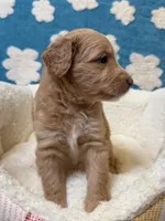 processed/71353459-c6b1-4231-b663-562456e87a6e/listing/7adeacb9-e369-4f44-bdde-253cf480b2c1/f935a73c-bfc3-4d74-9c6a-22978c46b568