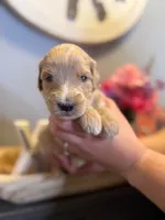 processed/71353459-c6b1-4231-b663-562456e87a6e/listing/9a33d3ef-ea06-484c-813b-80a16f60f23f/2d606869-836a-48fc-8942-7c693a068cc7