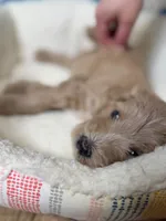 processed/71353459-c6b1-4231-b663-562456e87a6e/listing/9a33d3ef-ea06-484c-813b-80a16f60f23f/8953ba3b-f272-49ca-ae8e-358d8810f183