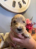 processed/71353459-c6b1-4231-b663-562456e87a6e/listing/9a33d3ef-ea06-484c-813b-80a16f60f23f/e58b4c80-1dbc-46a0-b8f6-ef92fabeab6c