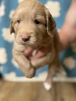 processed/71353459-c6b1-4231-b663-562456e87a6e/listing/9dd8c2f5-9949-47f9-8f21-92c16c0d5899/367202f0-668f-4e27-8a79-546ca66e6b02