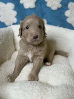 processed/71353459-c6b1-4231-b663-562456e87a6e/listing/9dd8c2f5-9949-47f9-8f21-92c16c0d5899/4f38a27b-5e00-43a4-bf54-c89e3e56f339