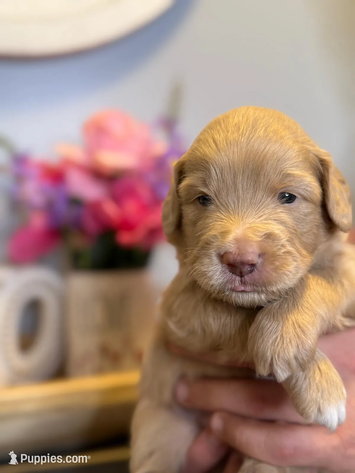 processed/71353459-c6b1-4231-b663-562456e87a6e/listing/9dd8c2f5-9949-47f9-8f21-92c16c0d5899/6feb7afb-c882-4683-82c5-17f9c2bb5452