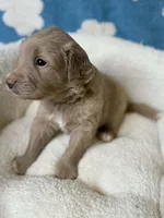 processed/71353459-c6b1-4231-b663-562456e87a6e/listing/9dd8c2f5-9949-47f9-8f21-92c16c0d5899/ea557fad-5c8a-4b6b-a464-00b02326dfab