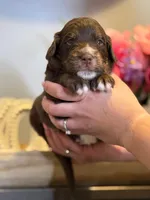 processed/71353459-c6b1-4231-b663-562456e87a6e/listing/cb368c28-ce15-4d00-a334-9d517727849a/054240b5-f834-4f23-9ca7-f2e2f8a855b9