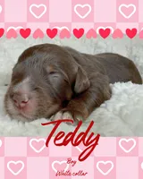 processed/71353459-c6b1-4231-b663-562456e87a6e/listing/cb368c28-ce15-4d00-a334-9d517727849a/2017bbfc-64d6-475a-af6a-35e52cd064e5