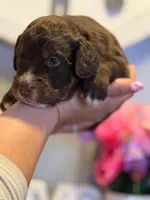 processed/71353459-c6b1-4231-b663-562456e87a6e/listing/cb368c28-ce15-4d00-a334-9d517727849a/8d80241c-e7be-40b8-9c88-0600b7b0bf1c