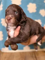 processed/71353459-c6b1-4231-b663-562456e87a6e/listing/cb368c28-ce15-4d00-a334-9d517727849a/e233e251-863c-44ca-ac15-fad4d2377d66