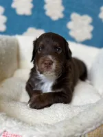 processed/71353459-c6b1-4231-b663-562456e87a6e/listing/cb368c28-ce15-4d00-a334-9d517727849a/f55b1bf6-7308-4adf-bd51-45ddf8dbf76d