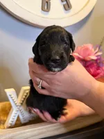 processed/71353459-c6b1-4231-b663-562456e87a6e/listing/d3346e69-5611-4205-a228-a2ec56781462/08ec0f54-afe5-4a1c-8064-c1b7ff826528