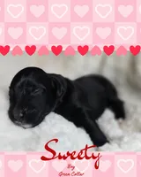 processed/71353459-c6b1-4231-b663-562456e87a6e/listing/d3346e69-5611-4205-a228-a2ec56781462/0f77af72-d52b-43fe-a86e-dd00d96cf062