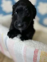 processed/71353459-c6b1-4231-b663-562456e87a6e/listing/d3346e69-5611-4205-a228-a2ec56781462/b0c74921-7fe5-4769-99f9-b91ffd72a1c8