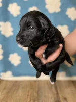 processed/71353459-c6b1-4231-b663-562456e87a6e/listing/d3346e69-5611-4205-a228-a2ec56781462/b73fd8cc-962c-4611-bc53-036a57a6a6ac