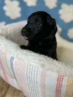 processed/71353459-c6b1-4231-b663-562456e87a6e/listing/d3346e69-5611-4205-a228-a2ec56781462/f4c61eba-6dd1-49b5-9cf7-ef2db1d9a367