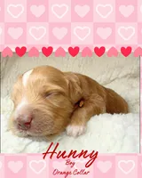 processed/71353459-c6b1-4231-b663-562456e87a6e/listing/e5206bec-36c2-4c54-9fbd-c921e88294cd/15a0480d-337f-4172-804d-6b97a90569b8